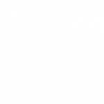 brooklyn-botanic-garden-logo 1